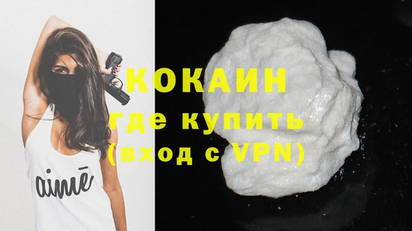гидра Галич