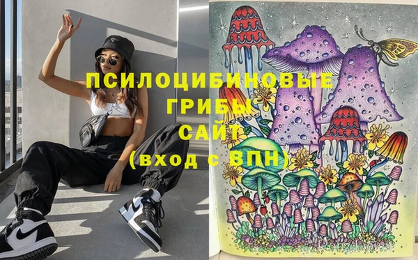 героин Покачи