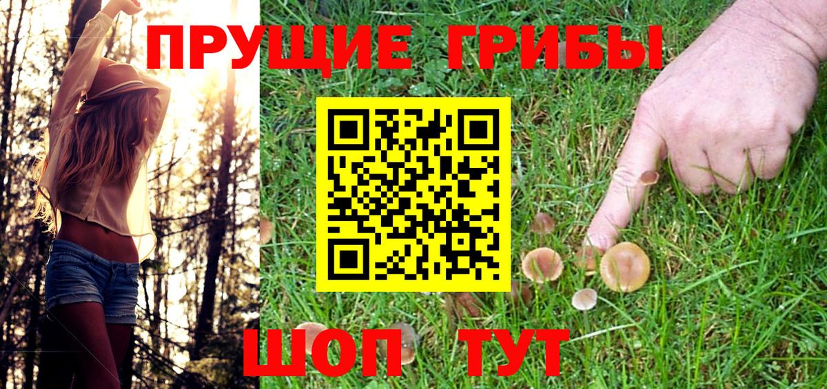 Галлюциногенные грибы Psilocybine cubensis Родники