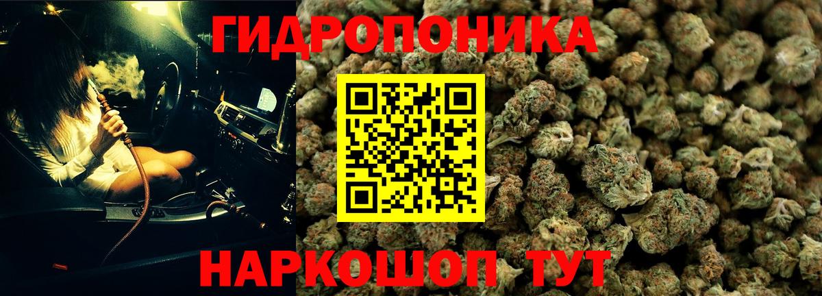 Конопля индика  Родники  Каннабис Bruce Banner  Конопля сатива  Бошки марихуана AK-47 